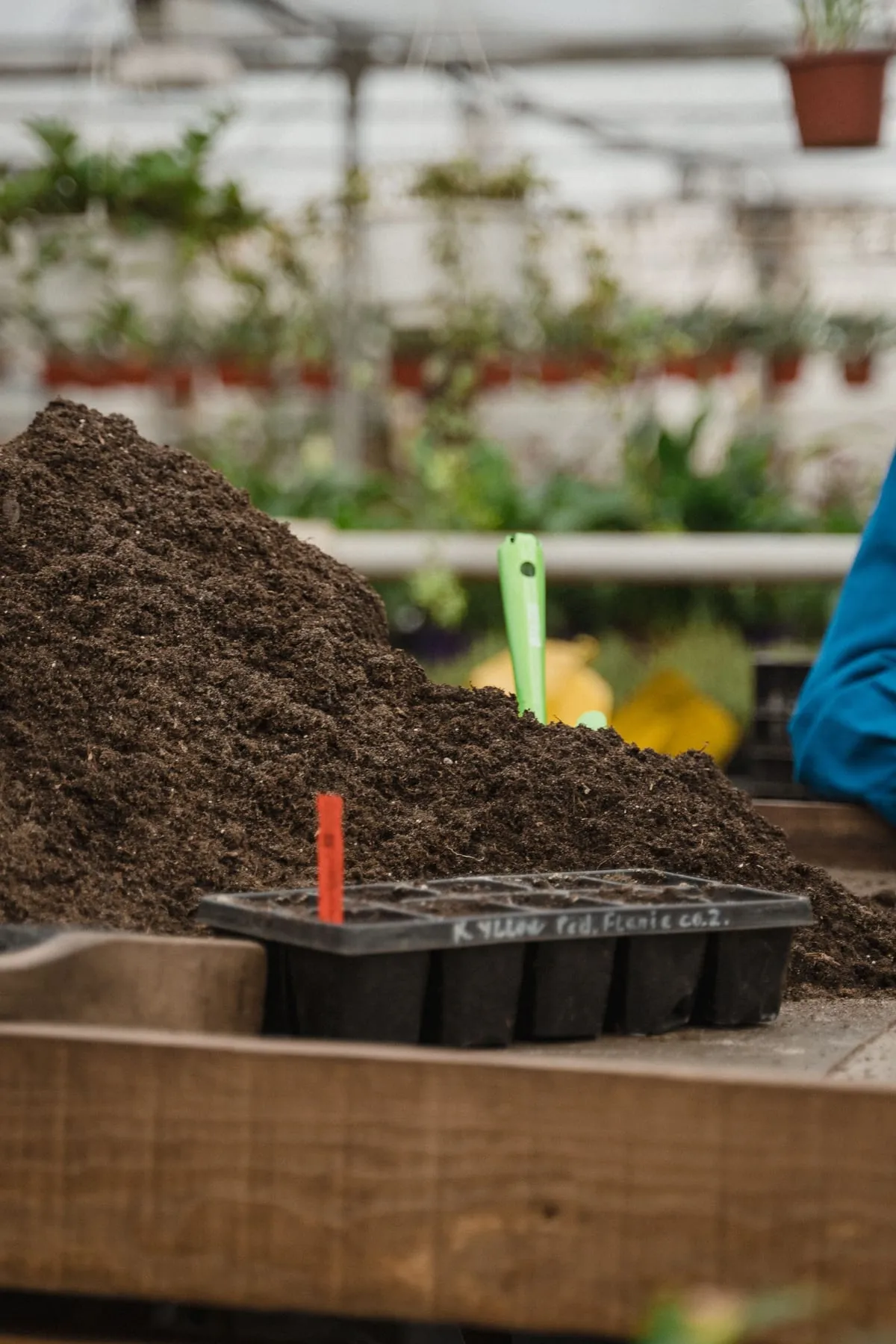 Munt de substrat amb una safata de planter preparada en un hivernacle